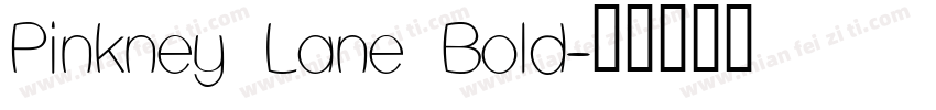 Pinkney Lane Bold字体转换